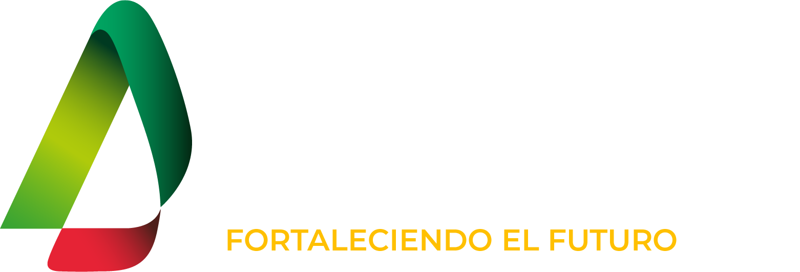 Congreso Nacional de Ingeniería 2025
