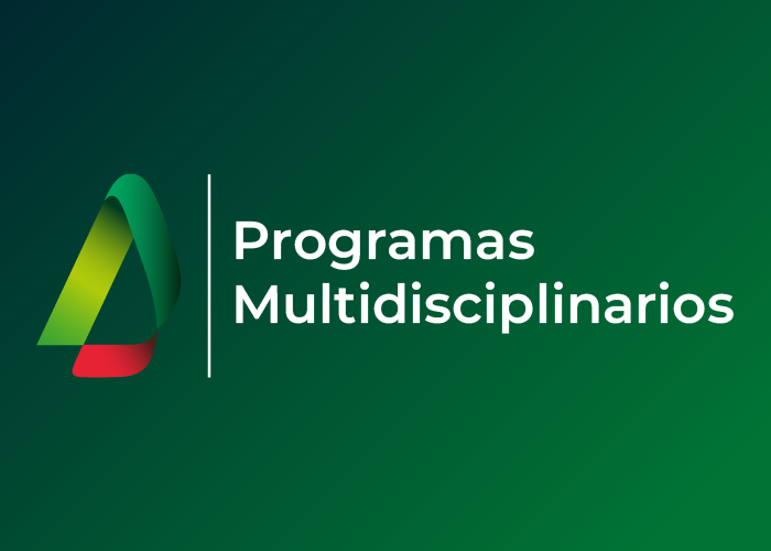 Programa Multidisciplinario